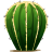 Logo of the game